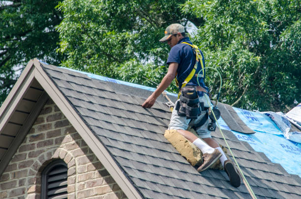 Best Roof Gutter Cleaning  in Belmar, NJ